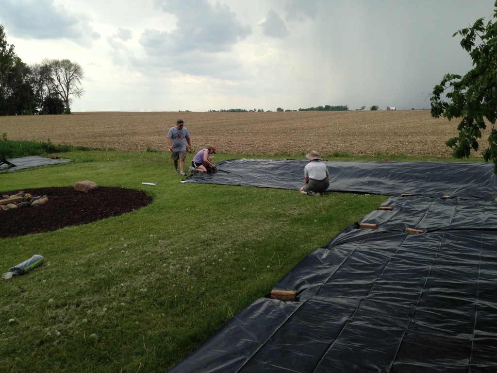 Laying out black plastic to kill the existing grass (May 2014)