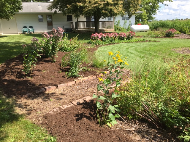 Monarch Waystation | Mayfield Congregational Church - United Church of ...