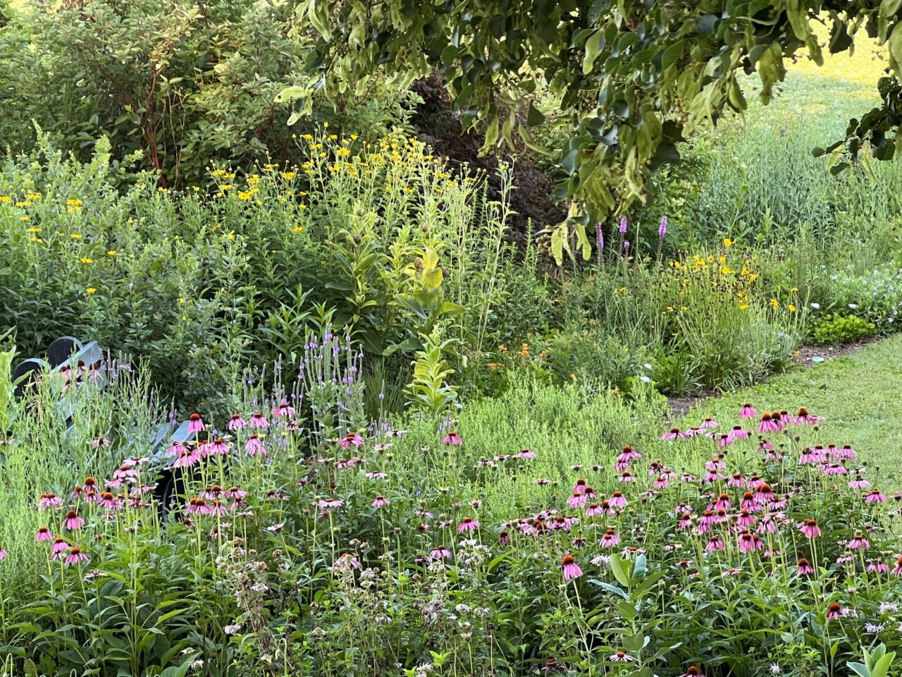 Flowers in the Waystation